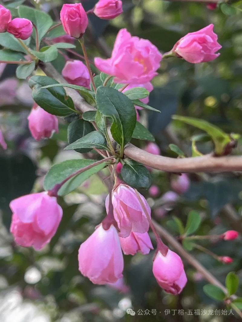 640_wx_fmt=jpeg&tp=webp&wxfrom=5&wx_lazy=1&wx_co=1 (2)